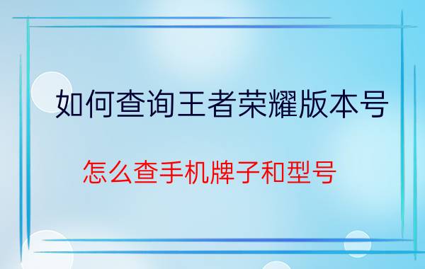 如何查询王者荣耀版本号 怎么查手机牌子和型号？